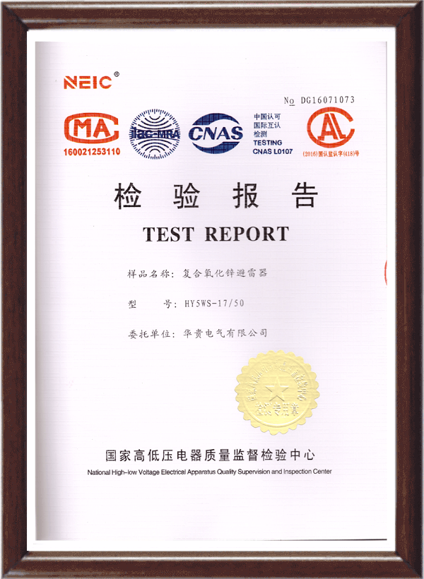 Inspection report of lightning arrester hy5ws-17-50