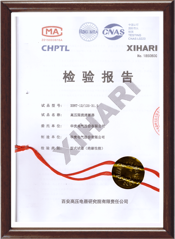 Fuse xrnt-12 inspection report